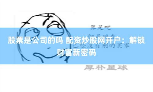 股票是公司的吗 配资炒股网开户：解锁财富新密码