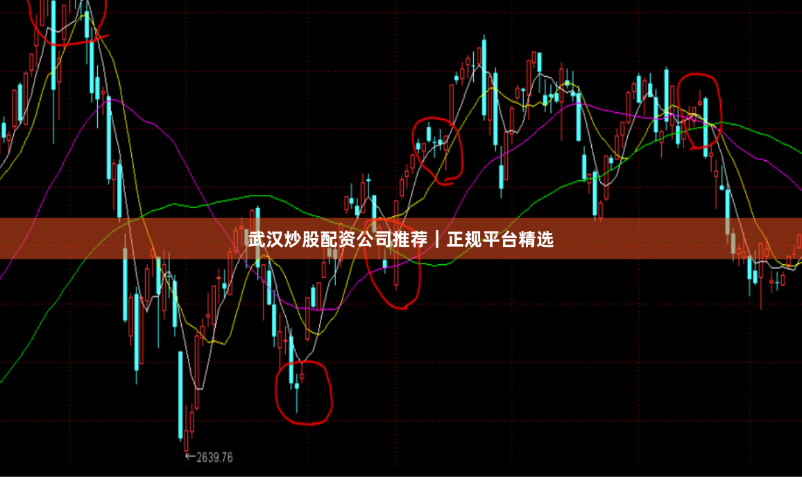 武汉炒股配资公司推荐｜正规平台精选